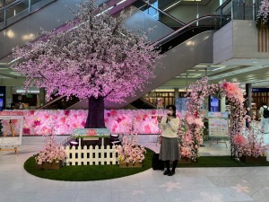 【SAKURA GARDEN】大きな桜「ペーパーフラワー」作り④
